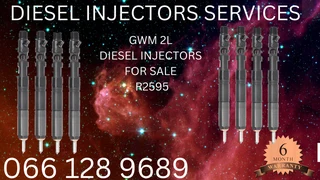 Gwm 2l Diesel Injectors For Sale On Exchange With Warranty