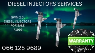 Gwm 2.5l Diesel Injectors For Sale On Exchange With Warranty