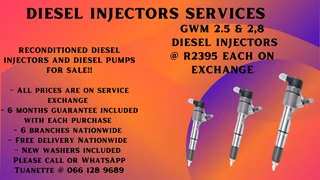 Gwm 2,5 & 2,8 Diesel Injectors For Sale On Exchange Or To Recon Your Own