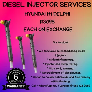 Hyundai H1 Delphi Diesel Injectors For Sale On Exchange