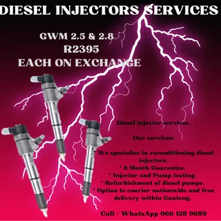 Gwm 2.5 & 2.8 Diesel Injectors For Sale On Exchange Or To Recon