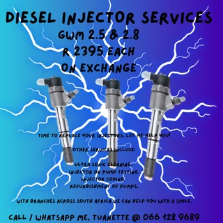 Gwm 2.5 Diesel Injectors For Sale On Exchange