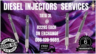 Tata Xenon 3l Diesel Injectors For Sale On Exchange