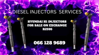 Hyundai H1 Delphi Diesel Injectors For Sale On Exchange