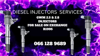 Gwm 2.5 & 2.8 Diesel Injectors For Sale On Exchange