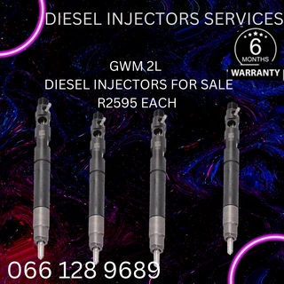 Gwm 2l Diesel Injectors For Sale On Exchange Or To Recon