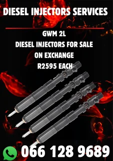 Gwm 2l Diesel Injectors For Sale On Exchange With Copper Washers