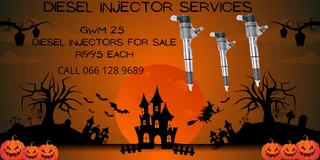 Gwm 2.5 Diesel Injectors For Sale On Exchange Or To Recon