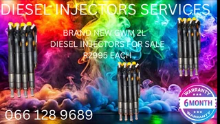 Brand New Gwm 2l Diesel Injectors For Sale On Exchange