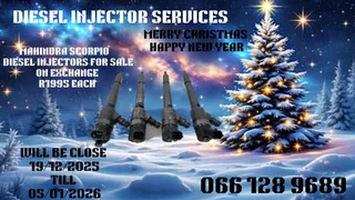 Mahindra Scorpio Diesel Injectors For Sale On Exchange Or To Recon Your Own With 6 Months Warranty