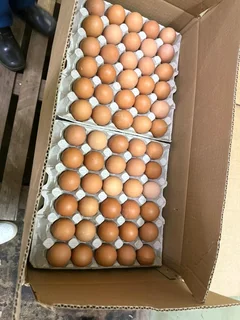 30 Eggs XL or 30 Dozen Box