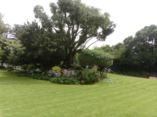 Gardener/ General work available