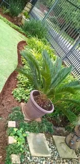 I am looking for job as a garden boy 078-71 27 635