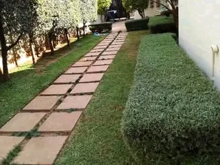 I&#39;m looking for a job as a garden boy