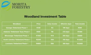 Sales and online marketing remote Job Position