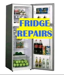 Stellenbosch refrigerator repairs and regassing onsite