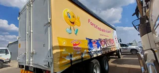 Tauliner curtains digital print and plain curtains