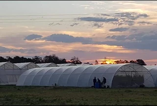 Solar driven coastal tunnel and beef farm, close to Kleinemonde, Eastern Cape