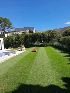 Gardener is looking for 3 days