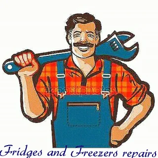 Reliable Refrigerator Repairs And Regassing Onsite