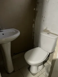 1 x Bachelorette to let in New Germany