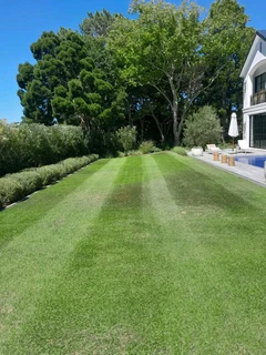 Gardener  is looking  for Job.