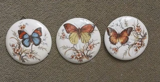 Butterfly wall decorations