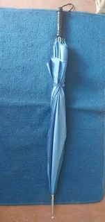 Large carry umbrella