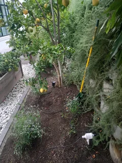 PERFECT GARDENER/ GENERAL WORKER.