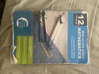 Mathematics Mind In Action