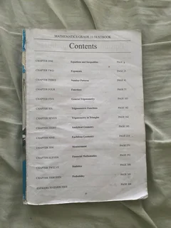 Mathematics Mind In Action