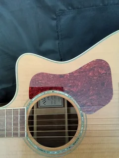 Bag &#43; Walden G630CE Acoustic Guitar  - Solid Spruce Top - Rosewood B/S Fishman Presys II pickup