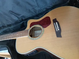 Bag &#43; Walden G630CE Acoustic Guitar  - Solid Spruce Top - Rosewood B/S Fishman Presys II pickup