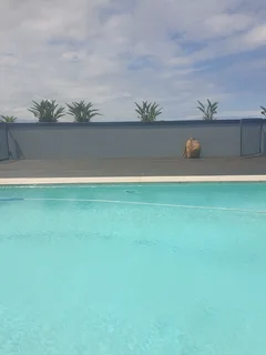 Pool maintenance and renovations