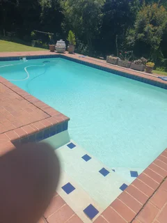 Pool maintenance and renovations