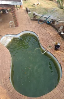 Swimming pool  services