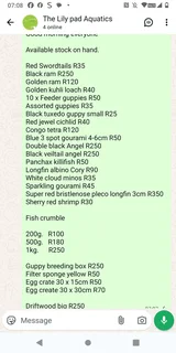 Assorted fish for sale