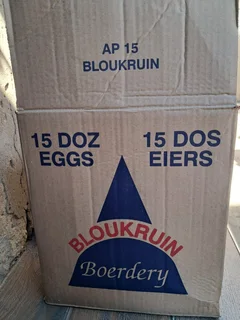 15 DOZEN LARGE EGGS EGGS