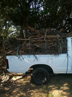 Tawana tree felling and grass cutting