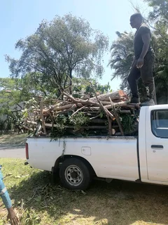 Tawana tree felling and grass cutting