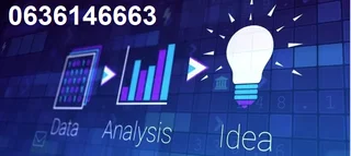 Statistician Data Analysis