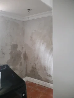 Cornice installing and repairs