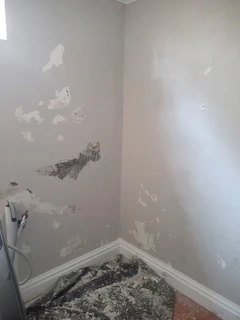 Cornice installing and repairs