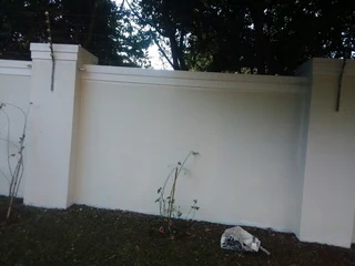 Painting and Renovation