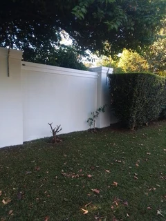 Painting and Renovation