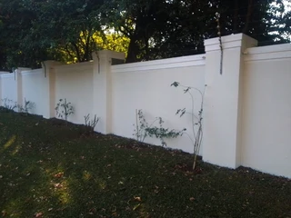 Painting and Renovation