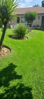 Am looking for gardening job