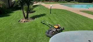 Am looking for gardening job