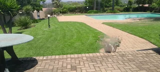 Am looking for gardening job