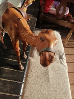 Vintage Leather Bound Handcrafted Middle Eastern Camel Set
